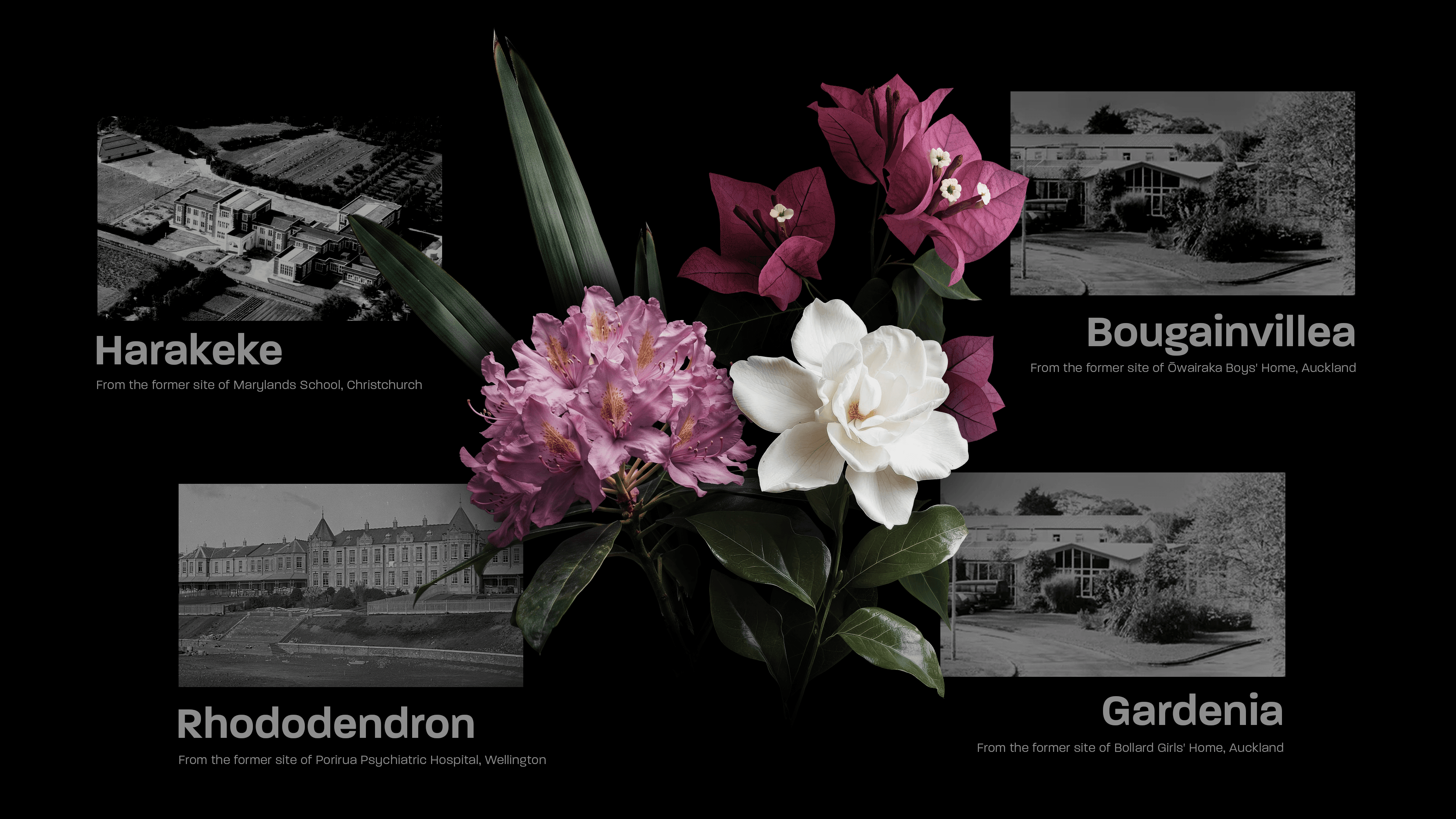 Sites of where the flowers were sourced 