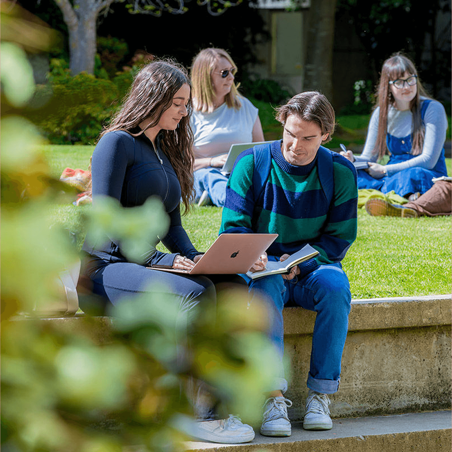 students sitting on the grass at The University of Canterbury campus 