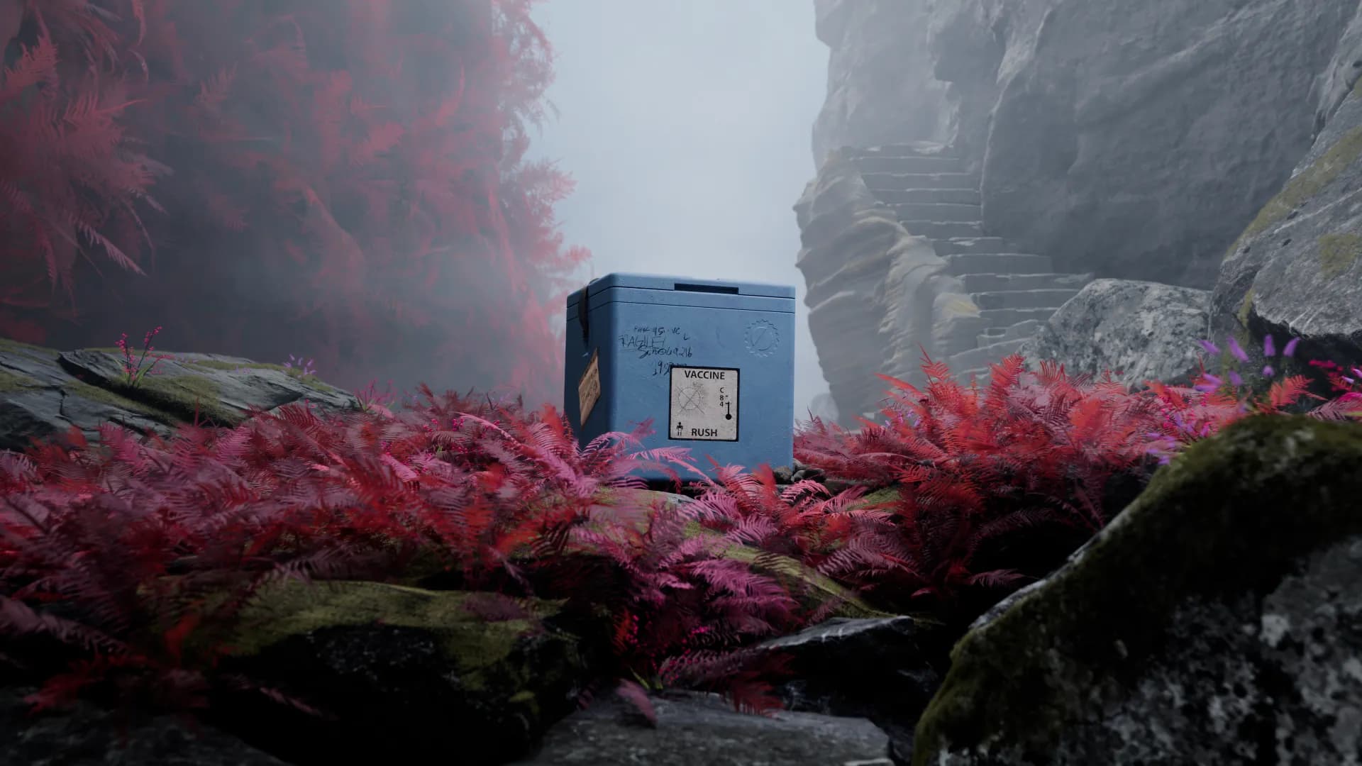 A cold box in nature