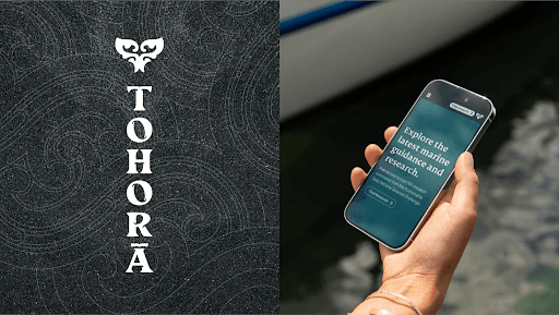 Tohora